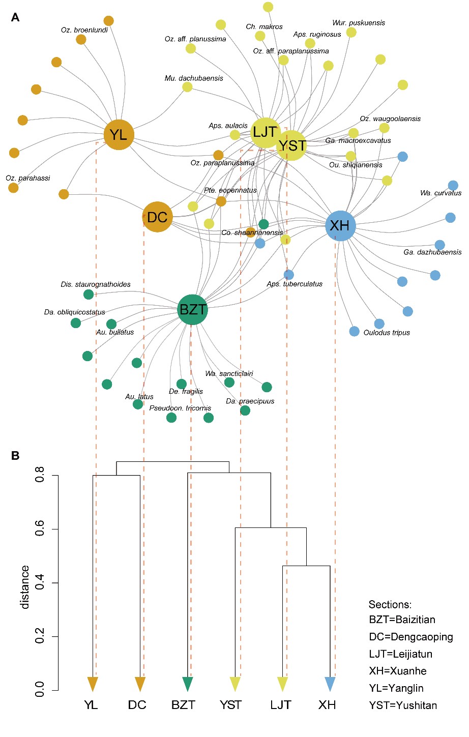 ����־��������ά����������������������������network analysis���;��������cluster analysis��