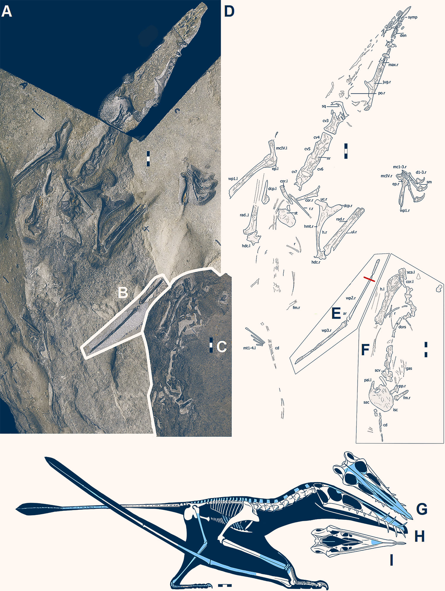 �ո���˹�����Ϸ���1.7����ǰ��������ʯDearc Sgiathanach