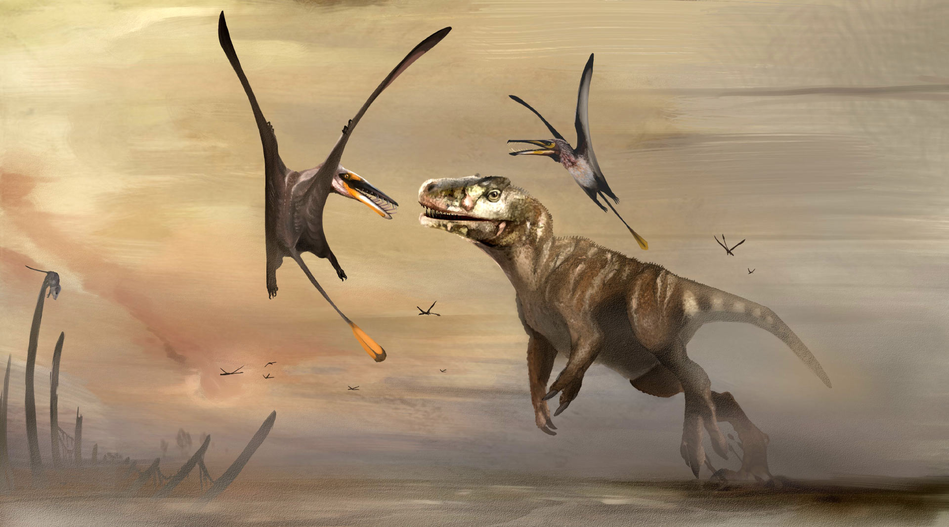 古生物学家在苏格兰斯凯岛发现侏罗纪时期最大翼龙化石Dearc sgiathanach