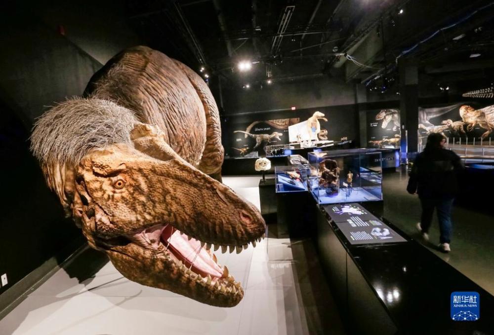 ���ô��¸绪��ѧ�ݾٰ조���������ռ���ʳ�ߡ�չ��