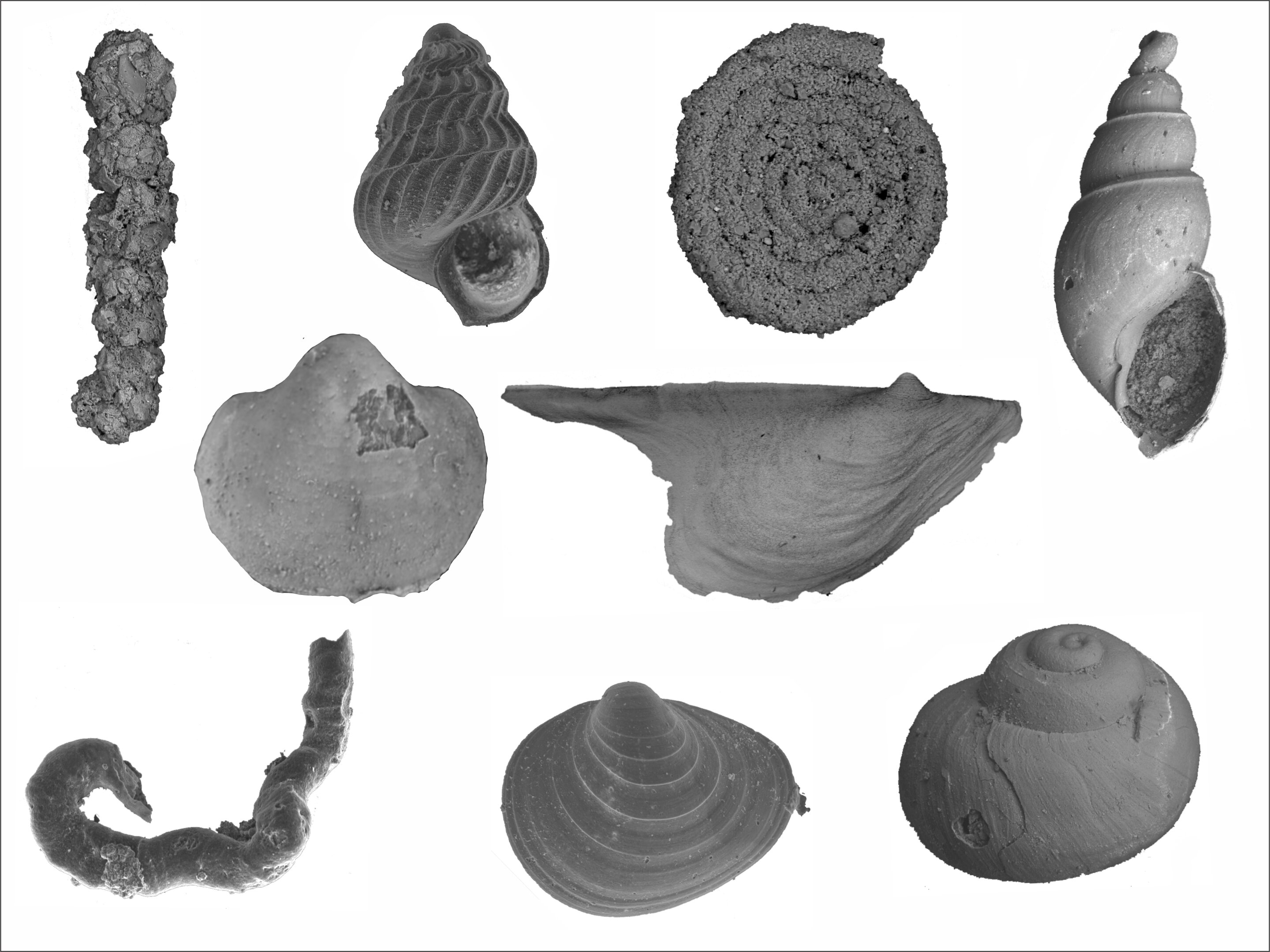 ������ĩ���������ؼ����أ�ˮ�����������½���ˮ�������Լ������ữ