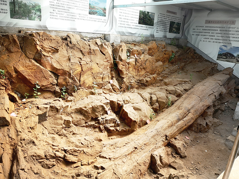 ��Ȫ��ʯ��ɷ����