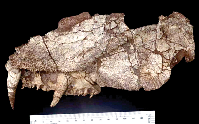 ��Ȫ�����������ﻯʯ�����跨�ɻ���