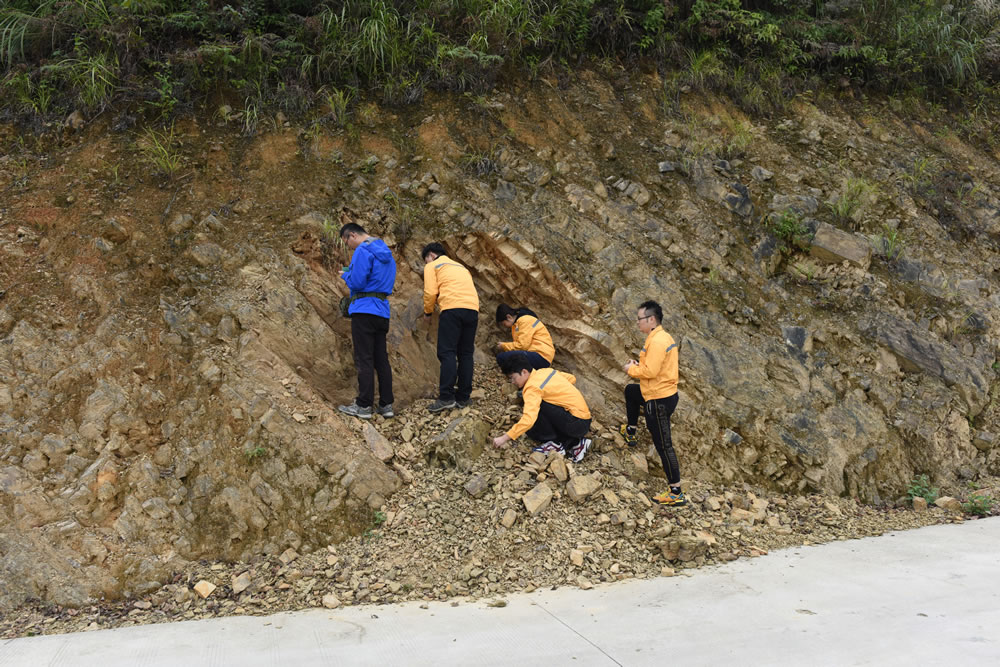 重庆秀山发现距今约4.36亿年的全新真盔甲鱼类化石——滨海涌洞鱼