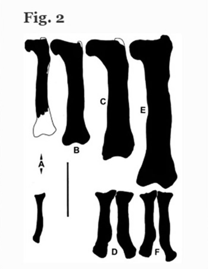 �о���ʾ������İ������ɹ��д�׳����ϸ֮�֡�