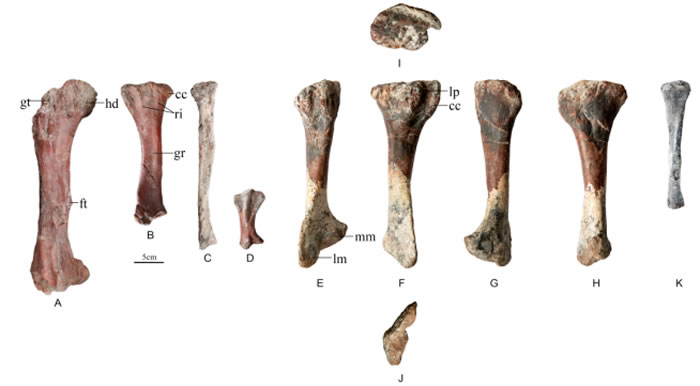 �й�������٪����ɳϪ�����½�������Ԫʼ��ɽ��