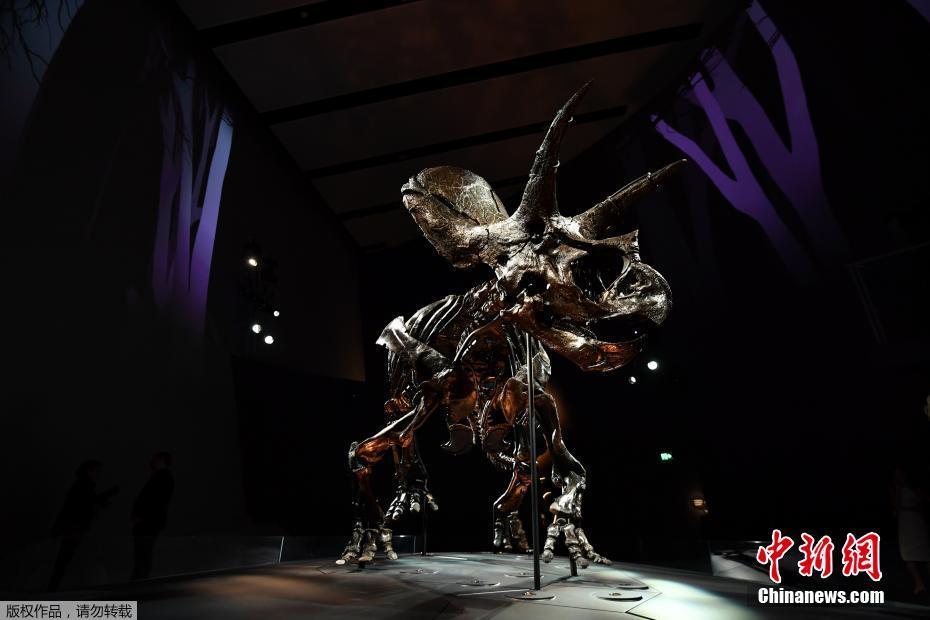 �Ĵ����ǵ�ī���������չʾ����������������������ʯ