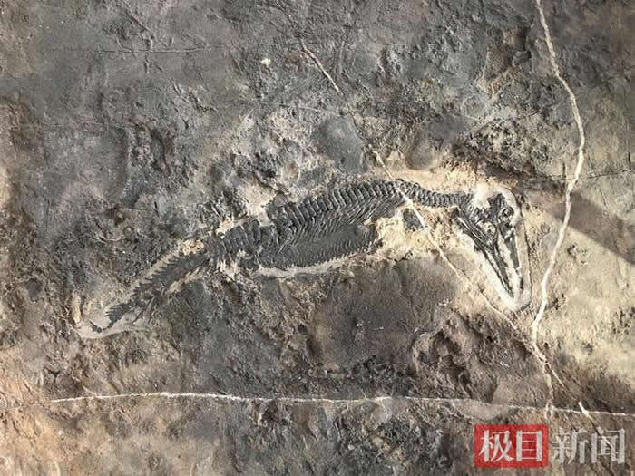 �߽�����Զ�����Ǵ� ����2.5����׺�ɣ��ޱ�