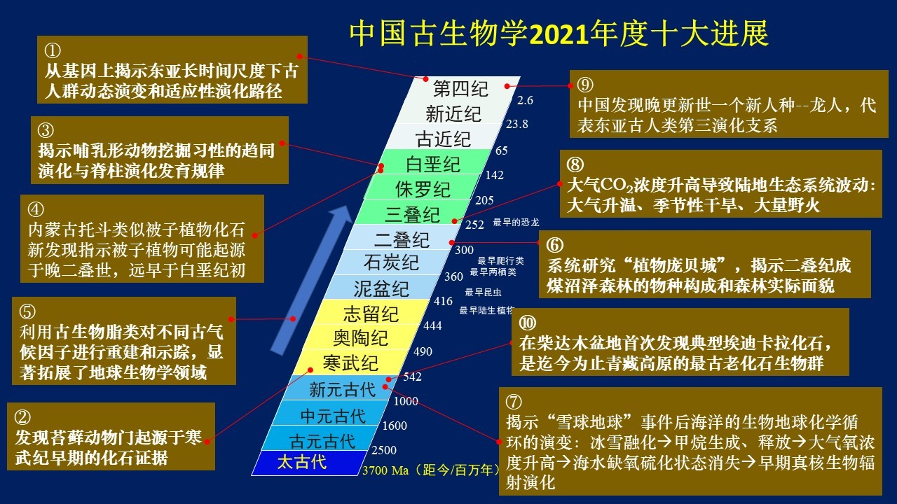 ��2021����й�������ѧʮ���չ���漰���