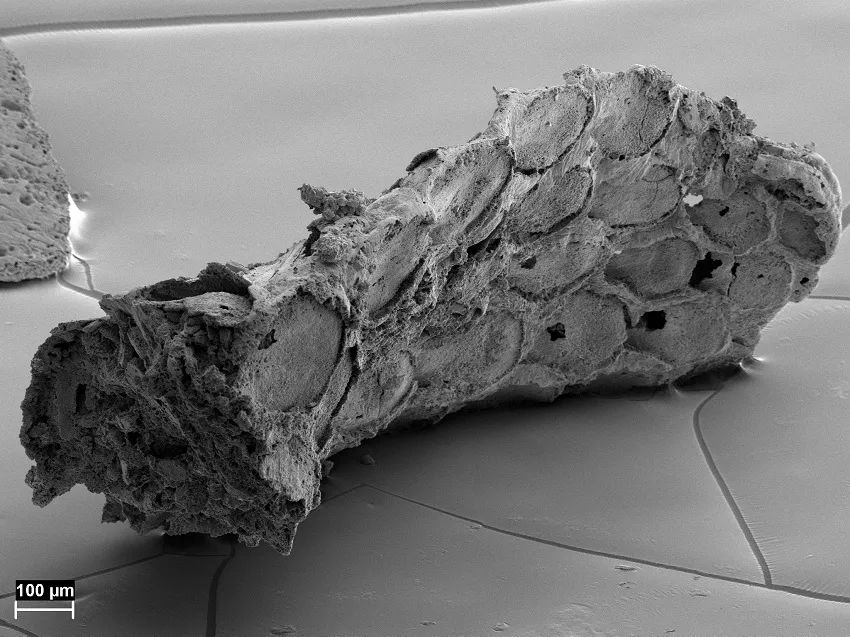 �й�������ѧ�����Ͼ�������2021����й�������ѧʮ���չ��