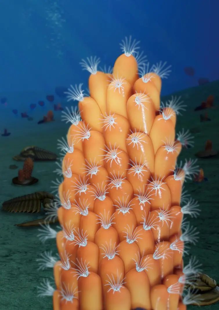 �й�������ѧ�����Ͼ�������2021����й�������ѧʮ���չ��