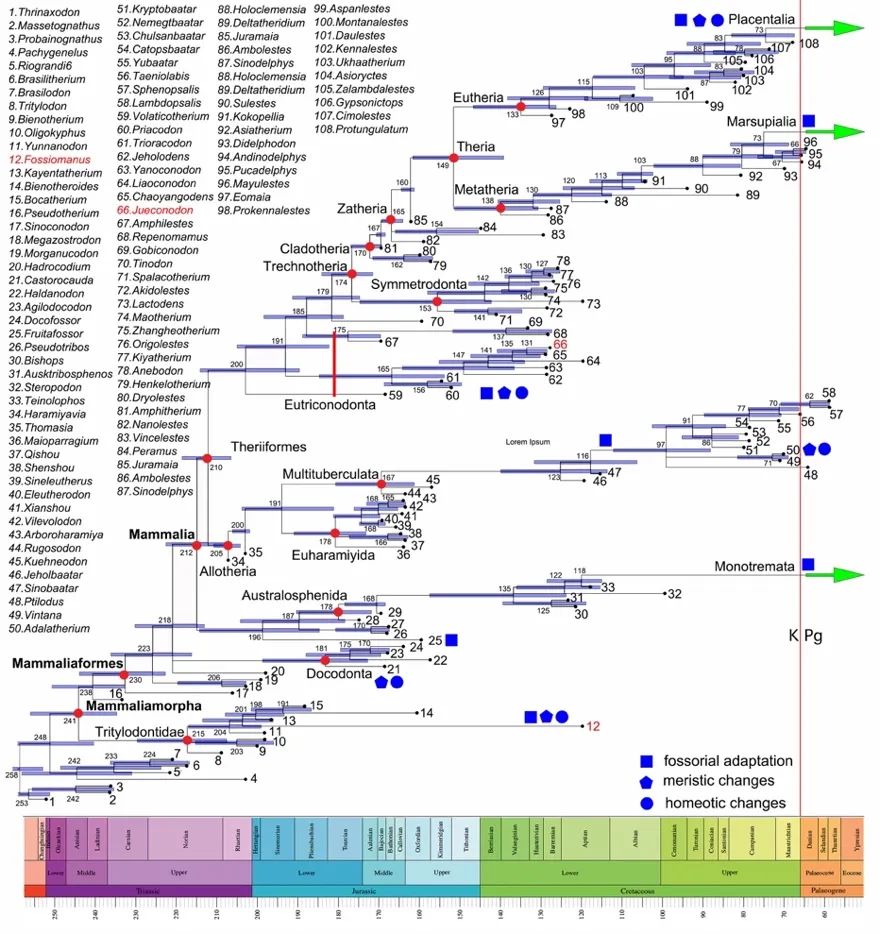 �й�������ѧ�����Ͼ�������2021����й�������ѧʮ���չ��