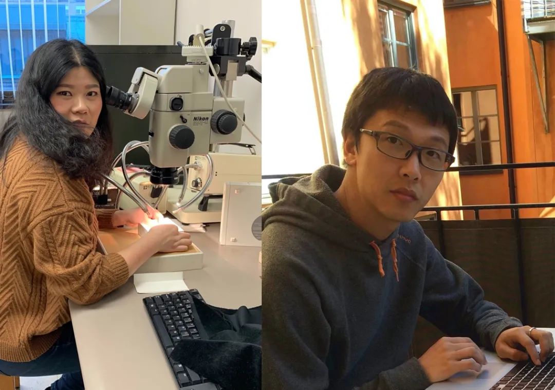 �й�������ѧ�����Ͼ�������2021����й�������ѧʮ���չ��