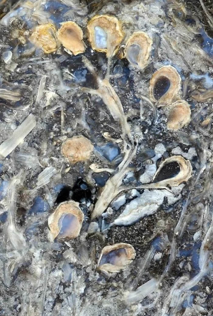 �й�������ѧ�����Ͼ�������2021����й�������ѧʮ���չ��