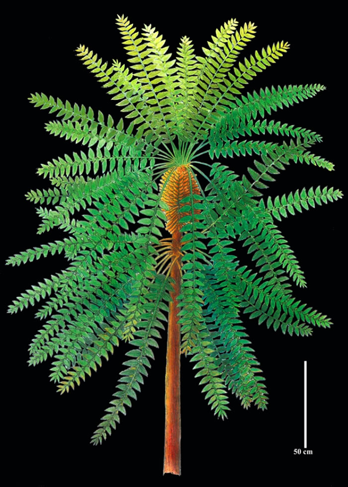 �й�������ѧ�����Ͼ�������2021����й�������ѧʮ���չ��