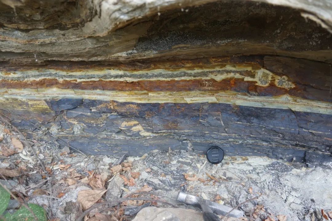 �й�������ѧ�����Ͼ�������2021����й�������ѧʮ���չ��