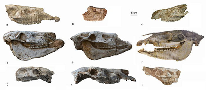 ����ѧ���桷������ֺ���¼���ʾ����������̬����