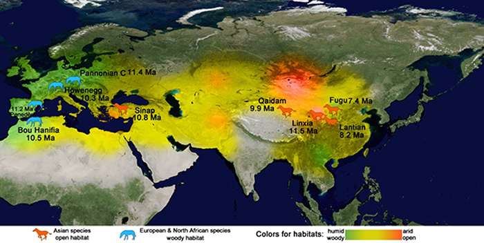 ����ѧ���桷������ֺ���¼���ʾ����������̬����