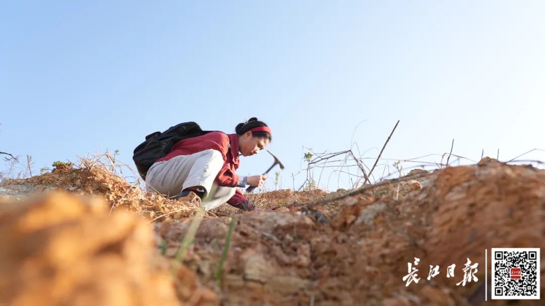 尹家一在武汉岱家山找化石。记者胡胜 摄