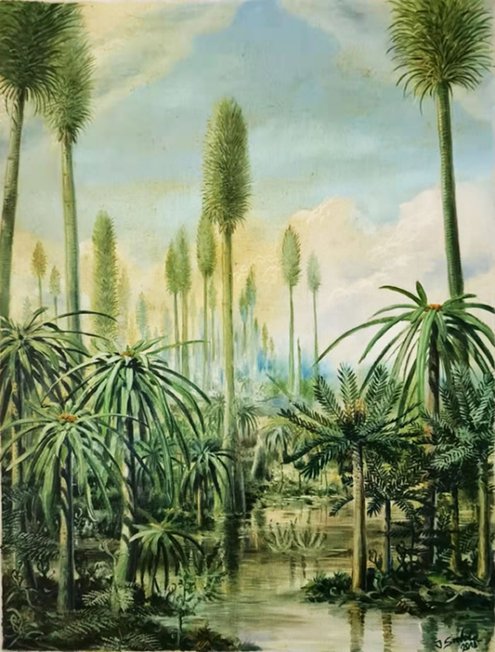 ��ֲ���ӱ��ǡ���������ɭ����ò��ԭ������ͼƬ