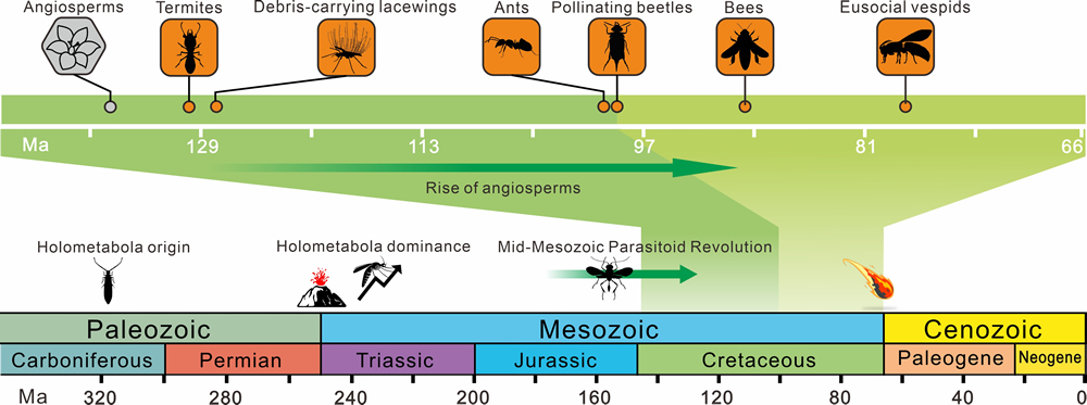 ����ؼ���̬��Ϊ���ݻ���ʷ