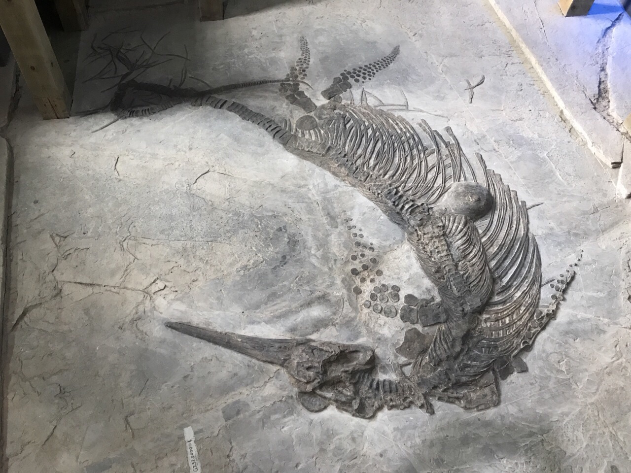 ���벼�������������ع����ﻯʯ��Դ��������