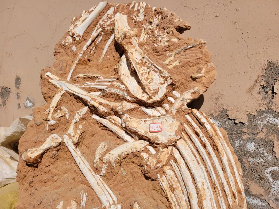 �����ݹ����ֳɹ����Ƶ����������ﻯʯ��