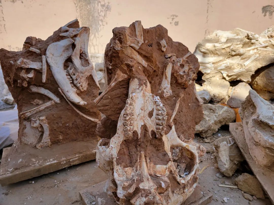 �����ݹ����ֳɹ����Ƶ����������ﻯʯ��