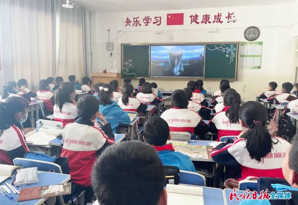 �����Ŷ��ﻯʯ������߽���������ȪСѧ��չ����ʯ�Ļ������á�ϵ�л