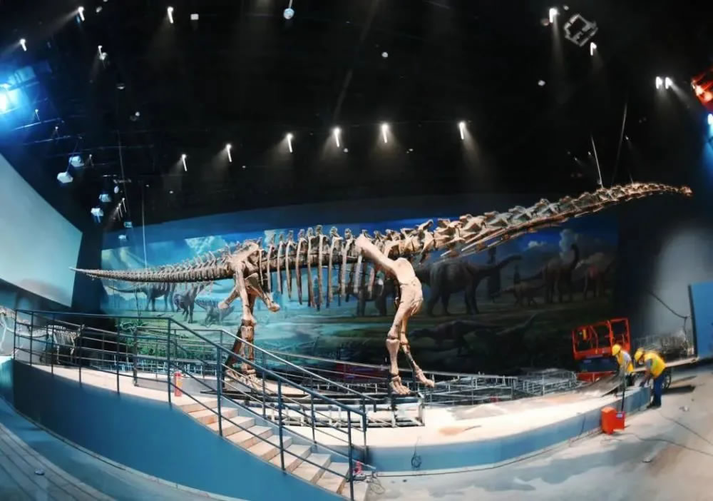 成都自然博物馆即将完工 带你提前探馆