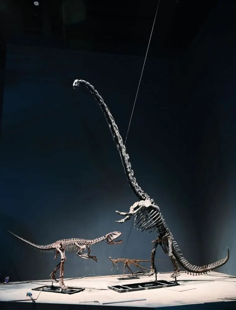 成都自然博物馆即将完工 带你提前探馆