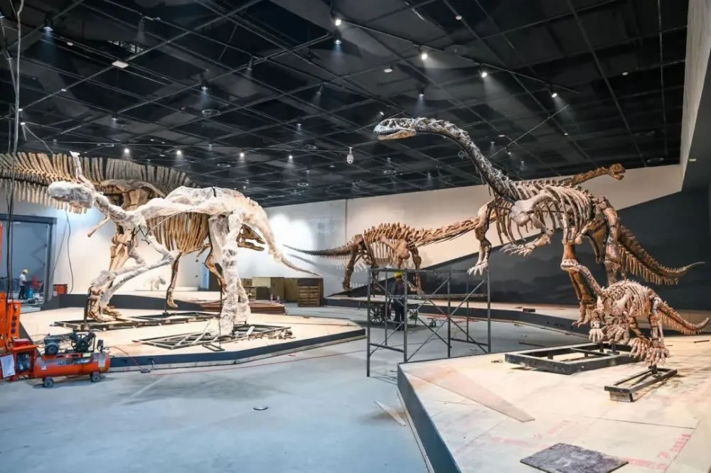 成都自然博物馆即将完工 带你提前探馆