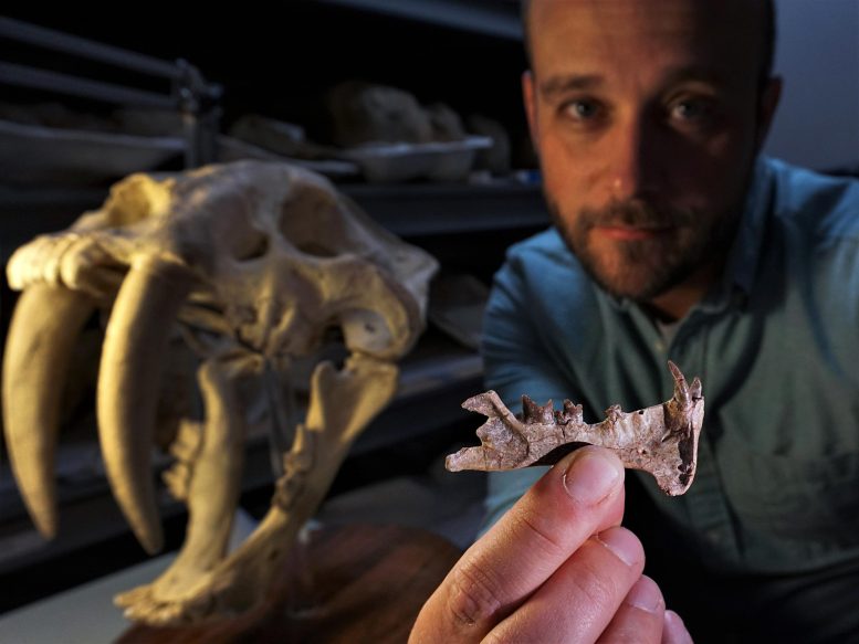 ������ѧ�ҷ���һ���µĽ��ݲ��鶯�� Ϊ�˽�4000������ǰʼ����ʱ�ڵ�����ṩ����