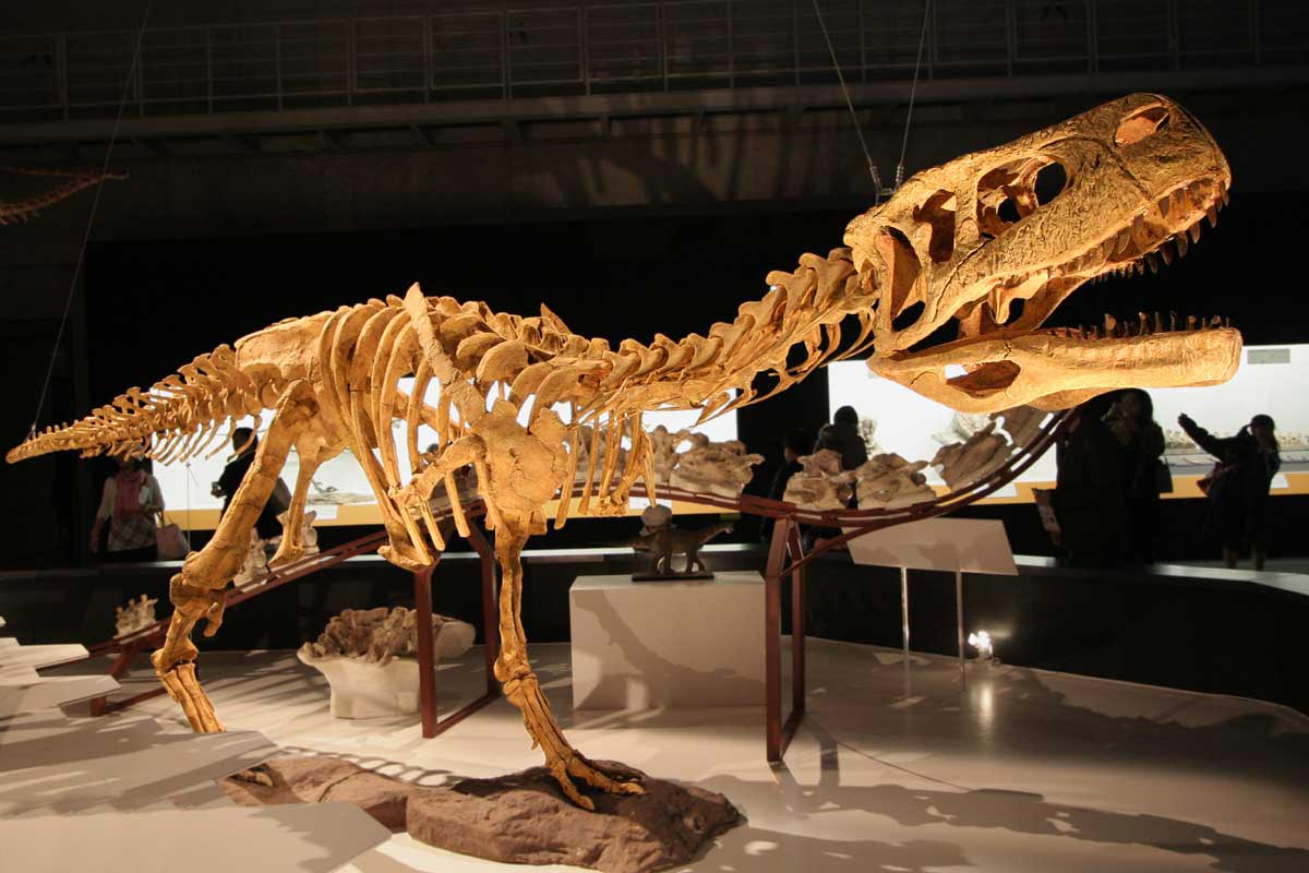 阿根廷发现“无臂”新物种恐龙Guemesia ochoai