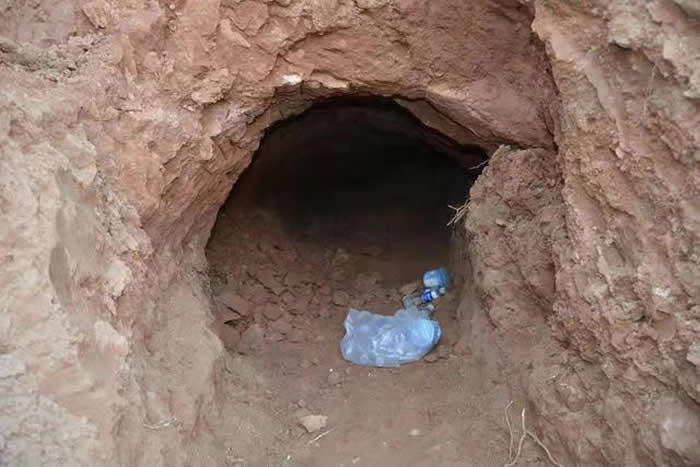 靖边警方破获盗掘古脊椎动物化石案