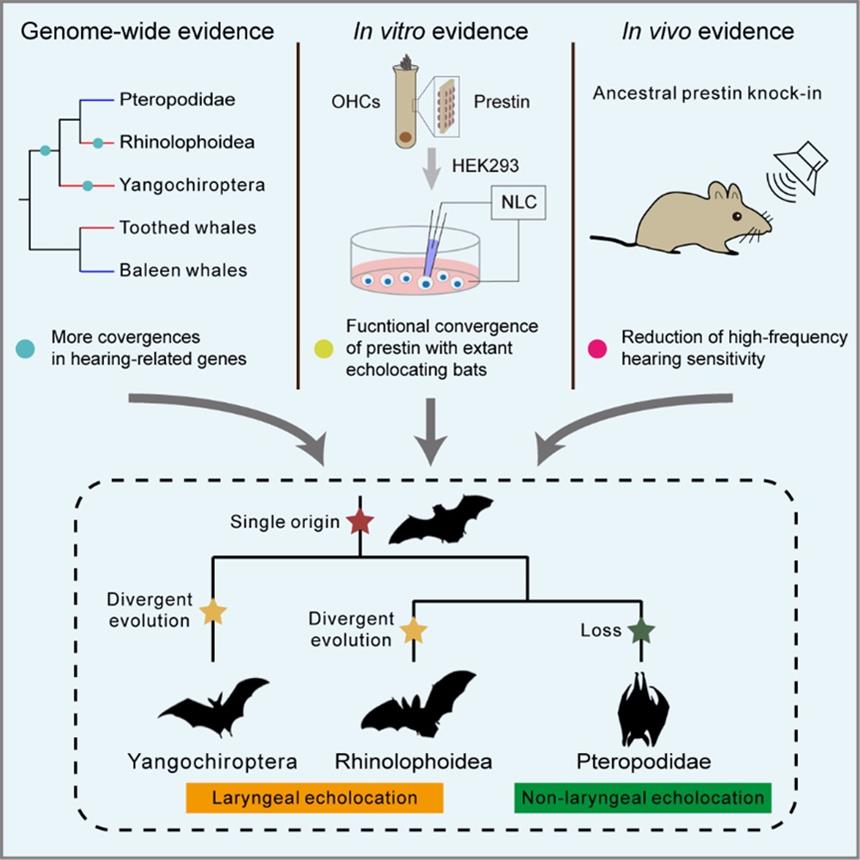 ���о�֧�ֻ�����λ��������Ⱥ�С�һ����Դ���ļ�˵����Դ������Ĺ�ͬ����