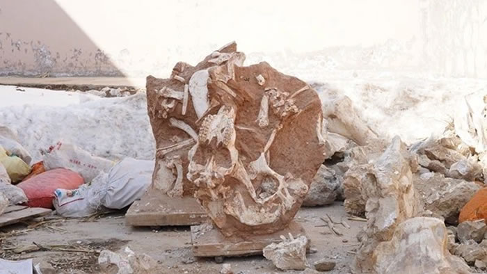 �������ľ����ƻ���������������ﻯʯ����