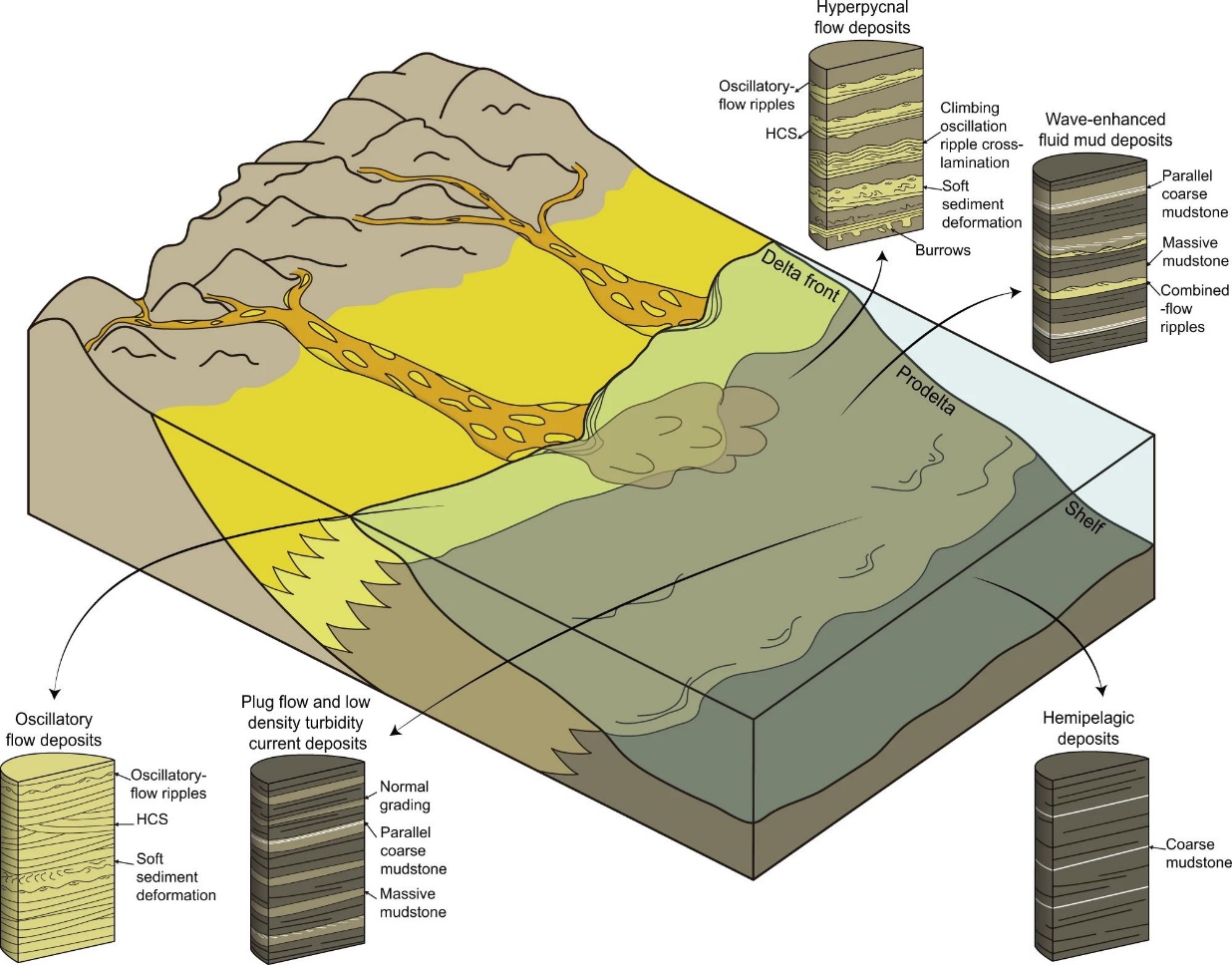 ��Nature Communications�����ν�����Ⱥ��Ϣ�������޻���