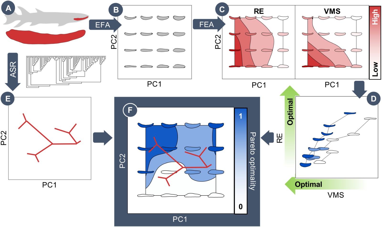 �о�������ʯ��¼�����������������޶ȵ�������������ٶȵ�Ȩ��֮��