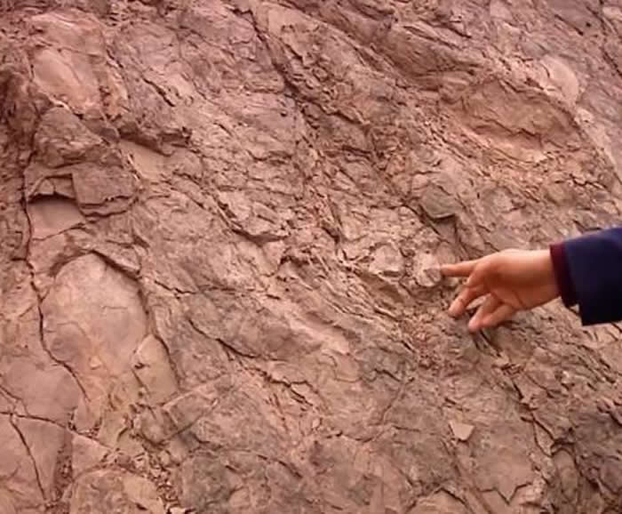 山东省诸城市新发现水波纹遗迹化石和大型蜥脚类恐龙足迹化石