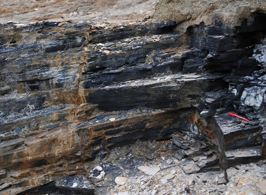 ��������Ⱥ���ڵĺ�ɫҳ�ҡ��п�Ժ�Ͼ����ʹ������о������ͼ