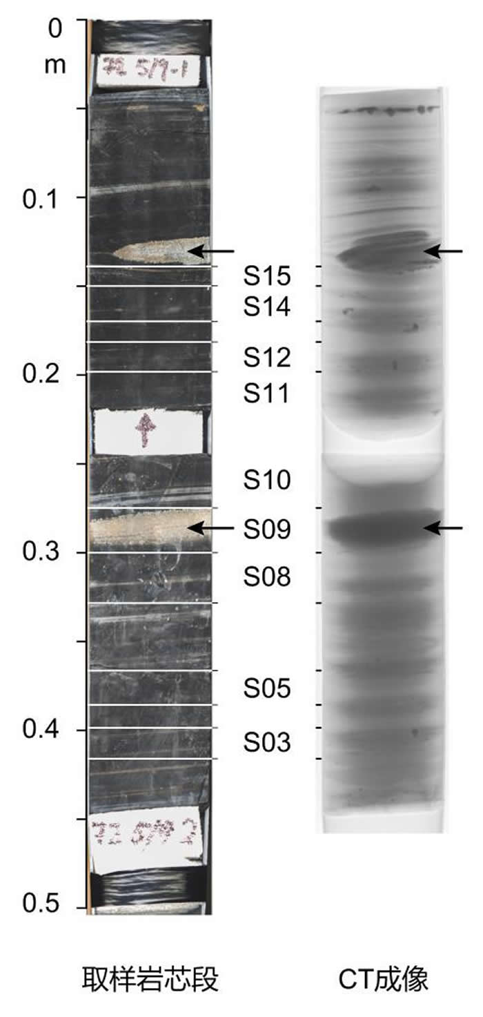 ��о��CT����ͼƬ���п�Ժ��������������о������﹩ͼ