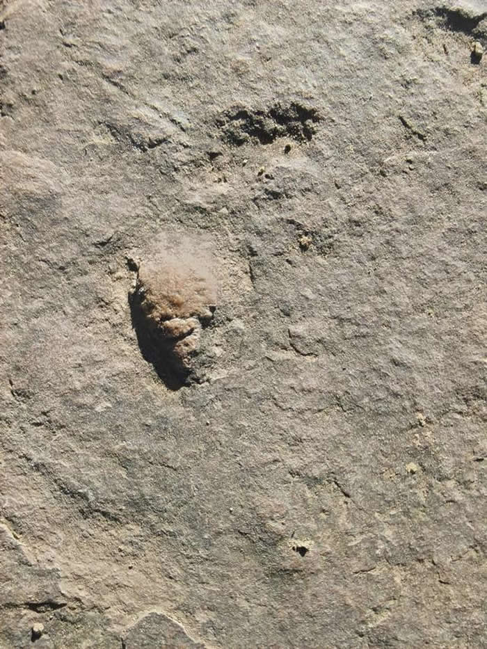 �е±���ɽׯʯ��·���·����������������ż���ʯ