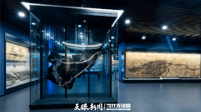 贵州省地质博物馆“神秘贵州——‘古生物王国’展览”入围全国博物馆十大陈列展览精品