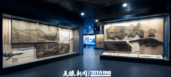 贵州省地质博物馆“神秘贵州——‘古生物王国’展览”入围全国博物馆十大陈列展览精品