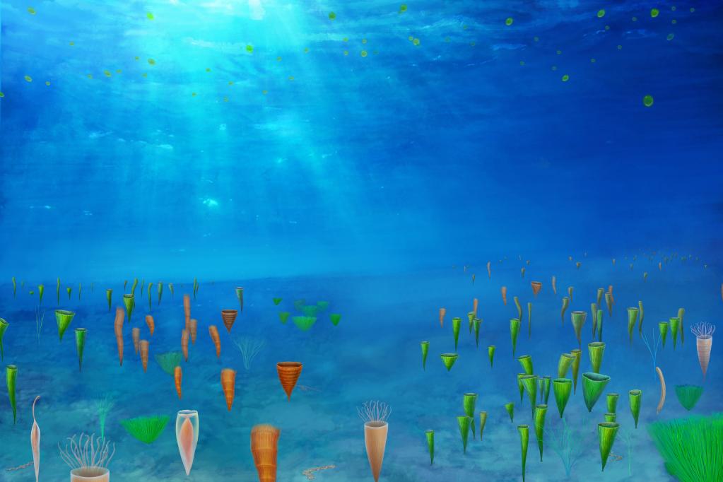 ��������Ⱥ��ԭͼ���п�Ժ�Ͼ����ʹ������о������ͼ