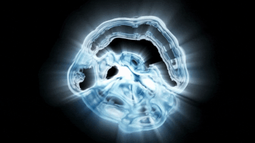 �ձ�������ѧ�״δ�������Ը��Ƶ�RNA���ӣ���������Դ��ʲô������������