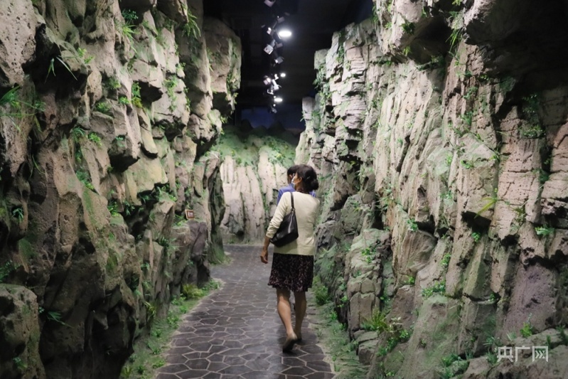 ����ι۹���ʡ���ʲ���ݡ�����Ӵ�Ͽ�ȡ���ԭ��������������� ������ �㣩