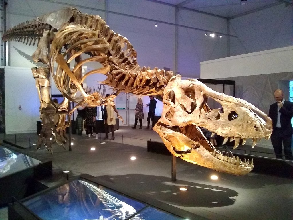 ��Acta Palaeontologia Polonica�������������ֱ�Ϊʲô��ô�̣�