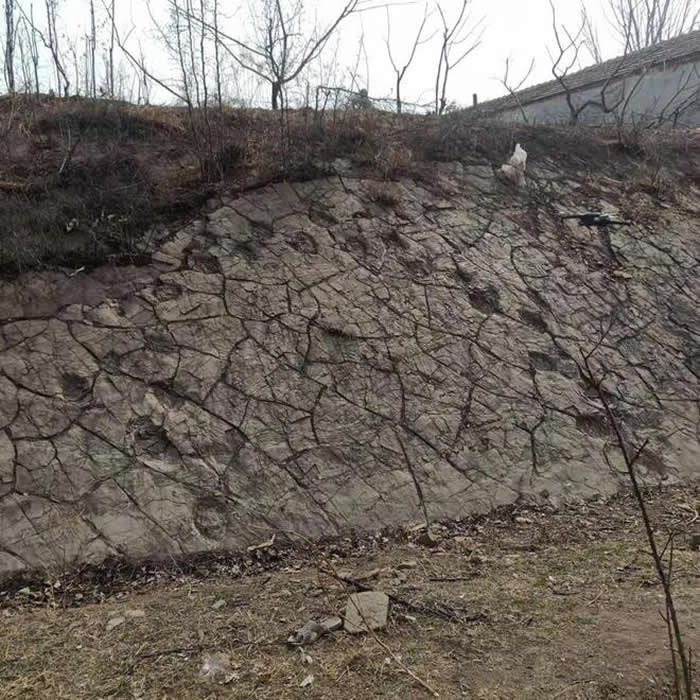 ɽ����ǣ���䴫˵����һ�����й����ǡ�